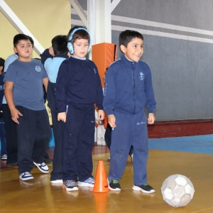 Día de la Actividad Física